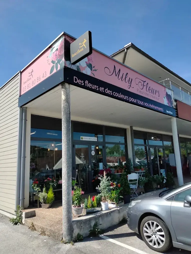 Devanture de la boutique Mily Fleurs à Avanne-Aveney : enseigne rose « Mily Fleurs, fleuriste créateur », vitrine et plantes en façade